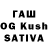 Псилоцибиновые грибы Magic Shrooms Nik Kashigin