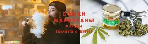 сатива Новокубанск