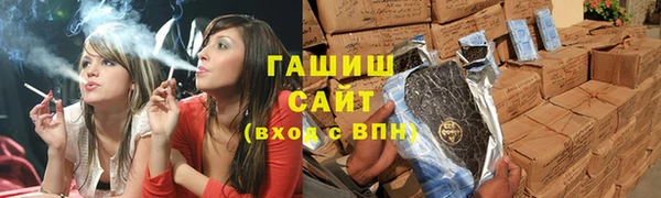 сатива Новокубанск