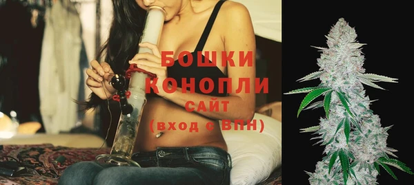 мдпв Новодвинск